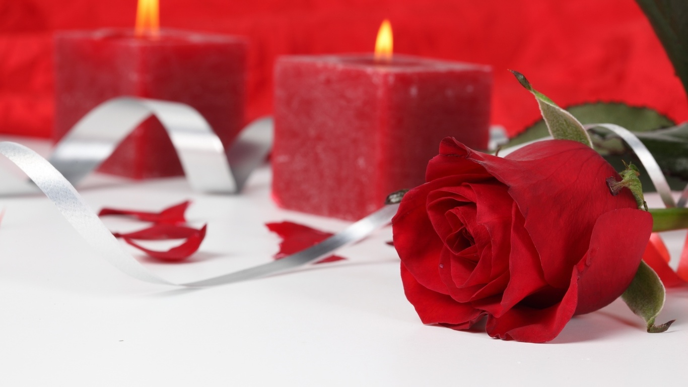 wallpapers passion, roses, candles, fire, love, photo