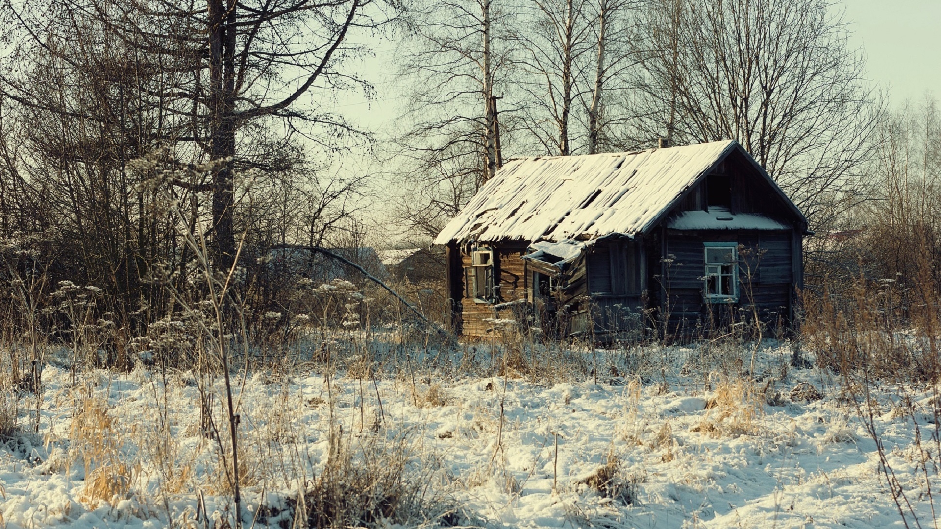 Фото Села Лесного