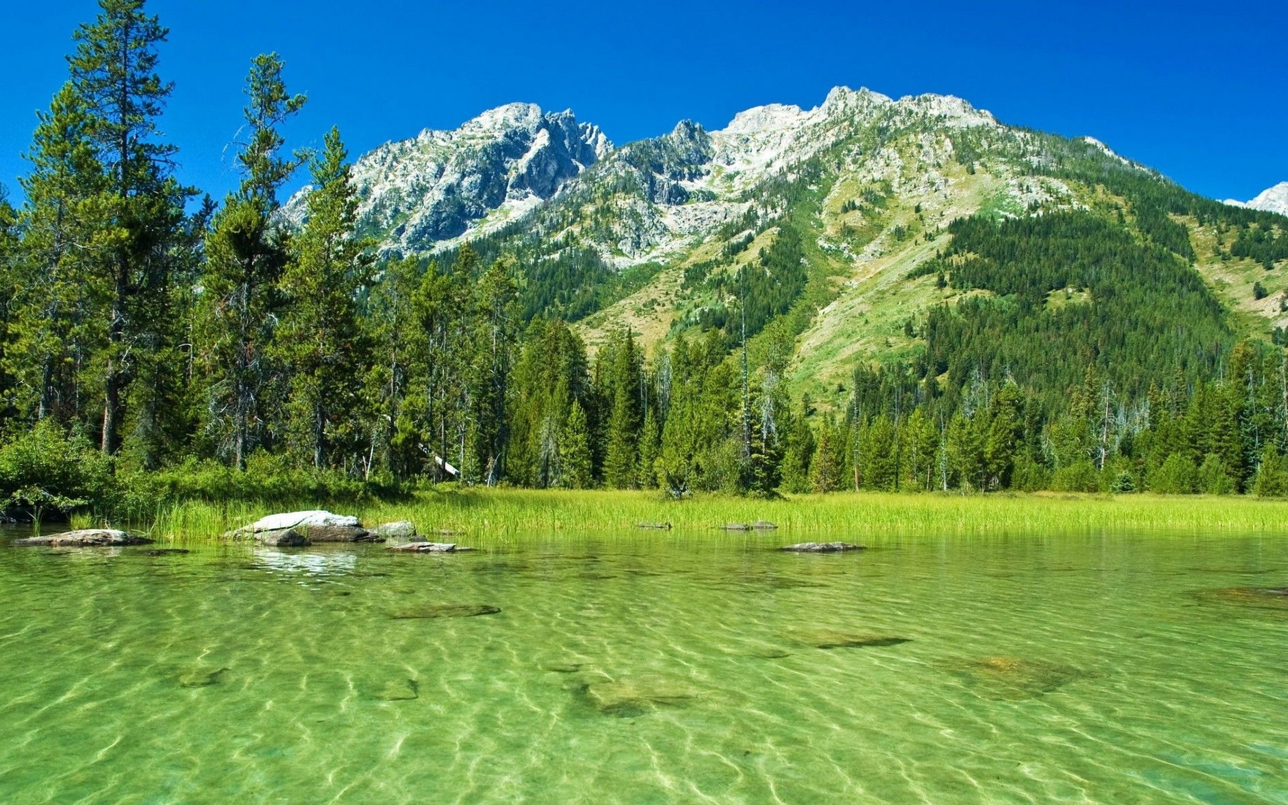 Mountain natural. Штат Вайоминг Гранд Титон. Южный Шварцвальд озеро. Вайоминг лес. Природа.