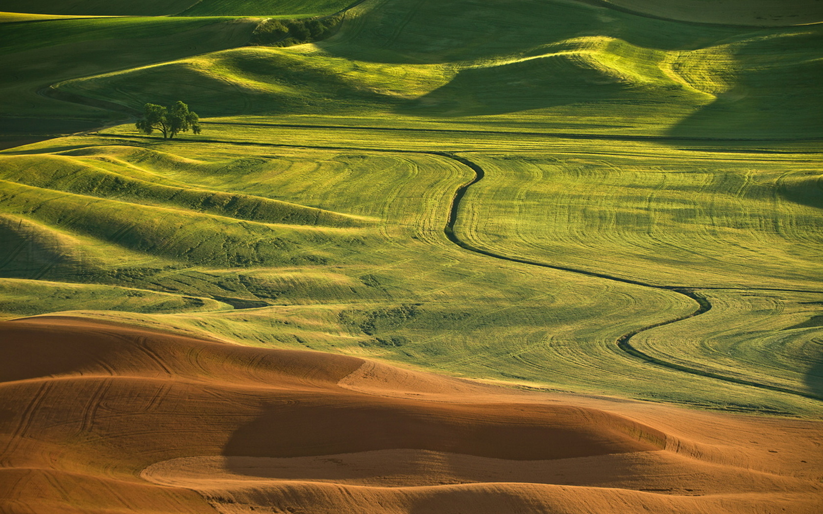 Дорогая красота. Palouse, США. Дюна пейзажи. Изумрудное поле. Поле Изумрудное настоящее.