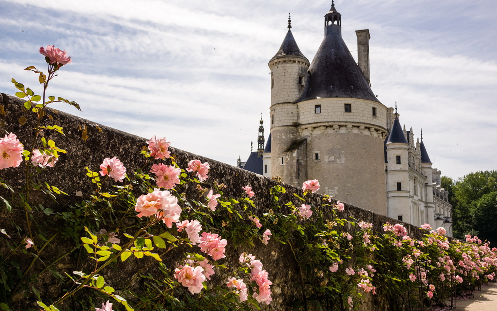 Castle place. Замки Франции самые красивые замки. Роза замок Шенонсо. Самые живописные замки Франции. Замки Франции весной.