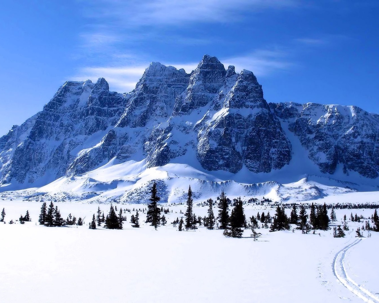 Step mountain. Горы ели. Обложка для ВК снег горы. Горы в Сочи фото зимой.