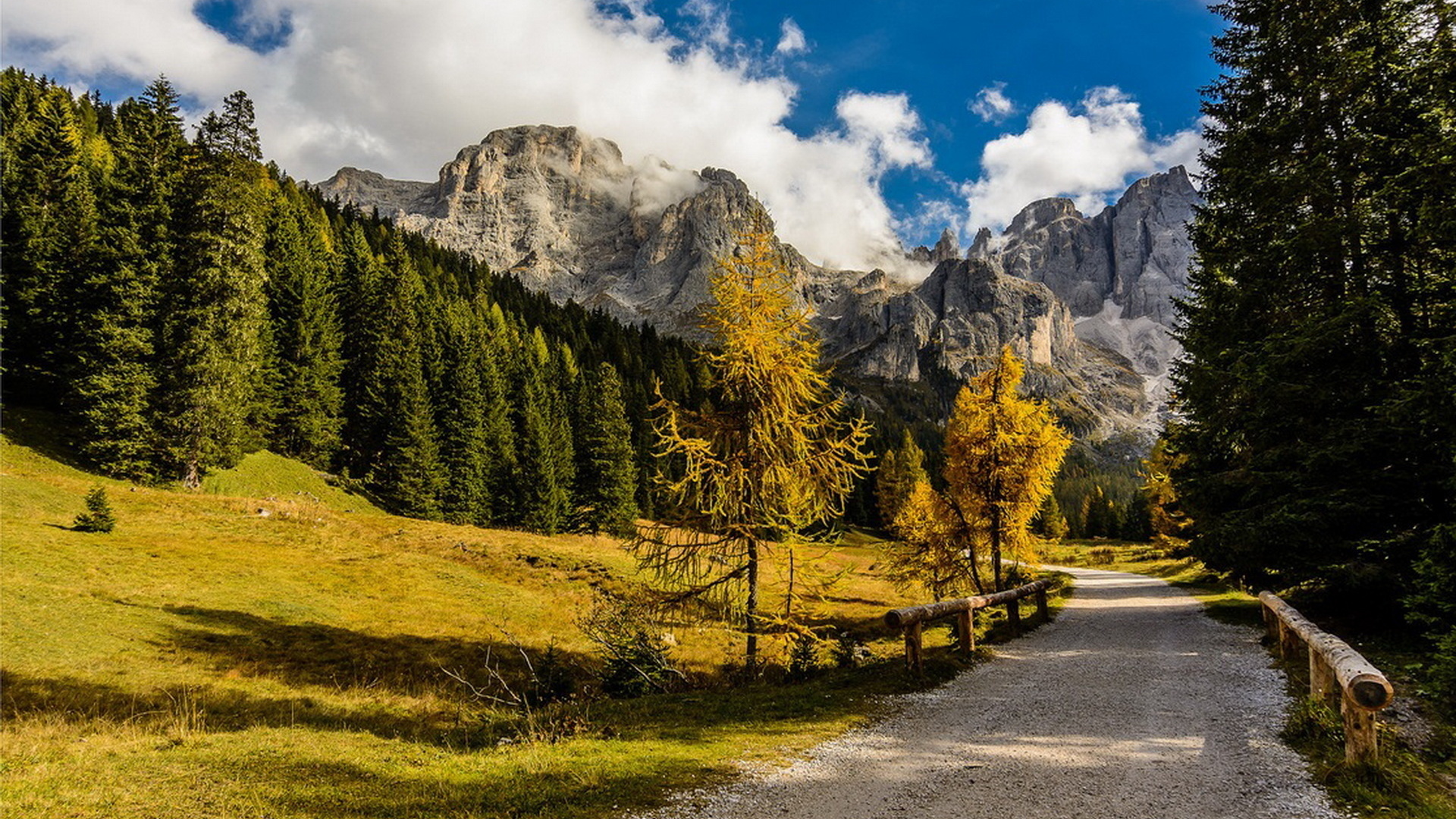 Категория природа. Небо горы лес дорога. Горы зелень дорога. Лес и горы с дорогой. Горы лес дорога яркая зелень.