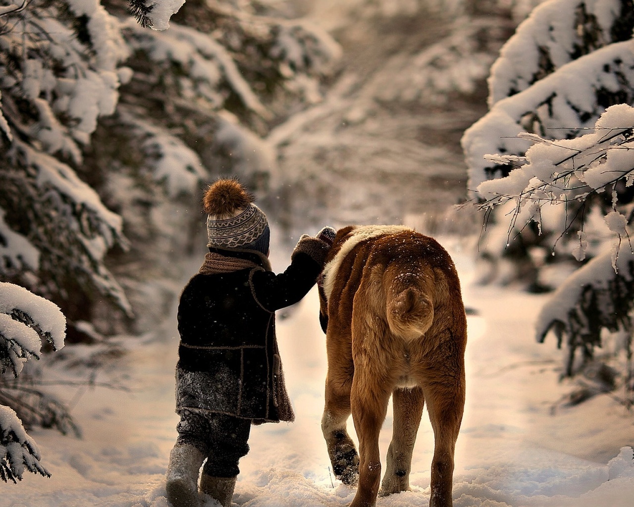 Зимний лес для детей
