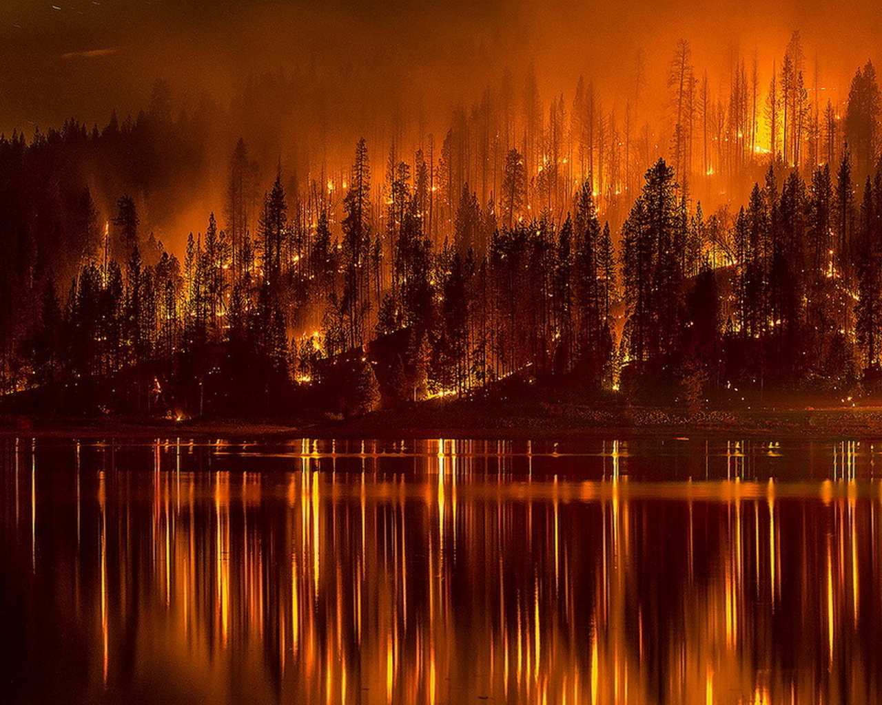 Forest fire mk ii. Лес в огне. Лесной пожар 4к. Картина огонь в лесу. Пожар у озера.