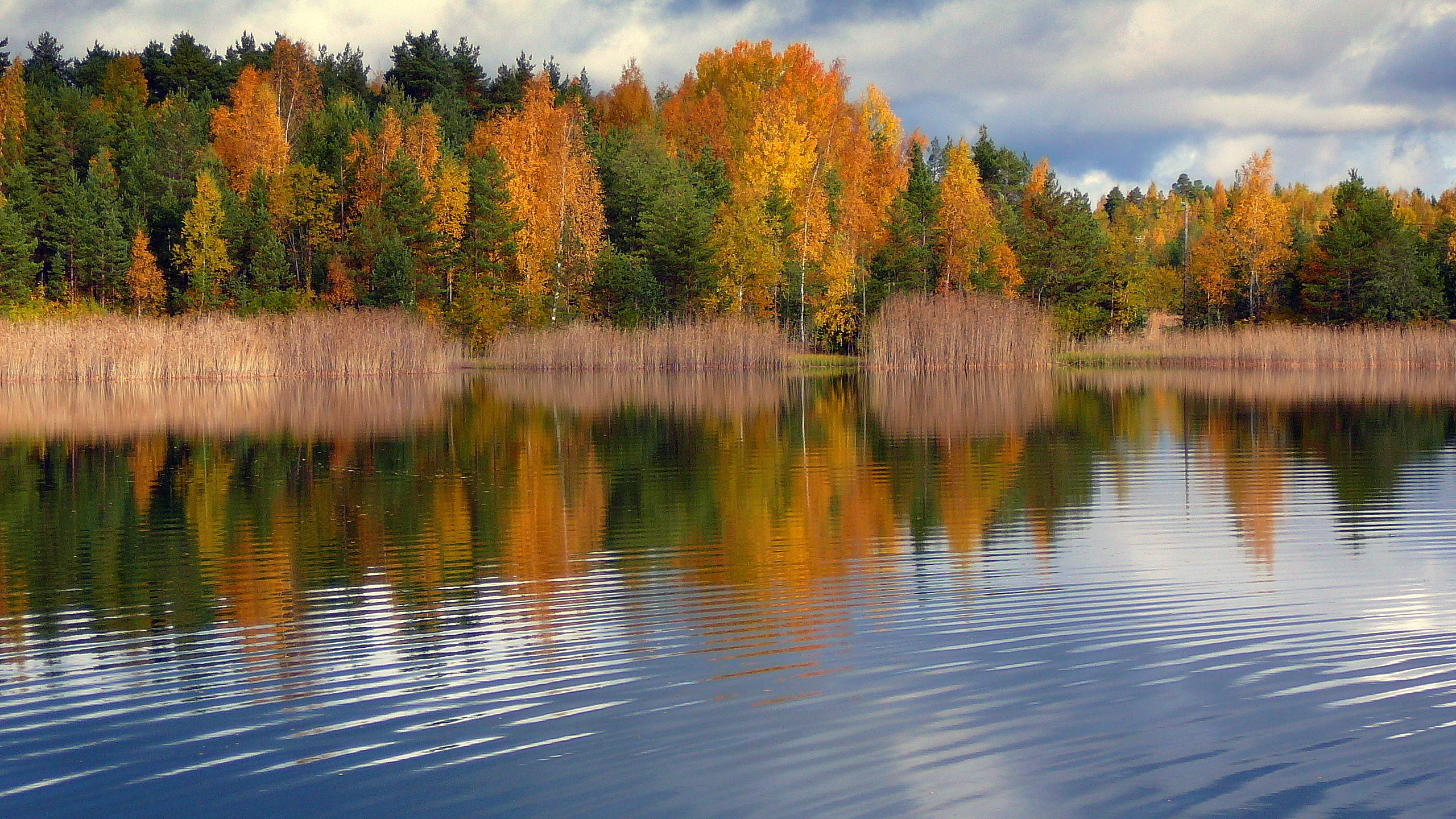 Вода лесной храм