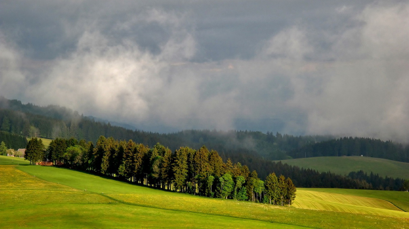 Долина лета. Долина лето. Summer Valley.