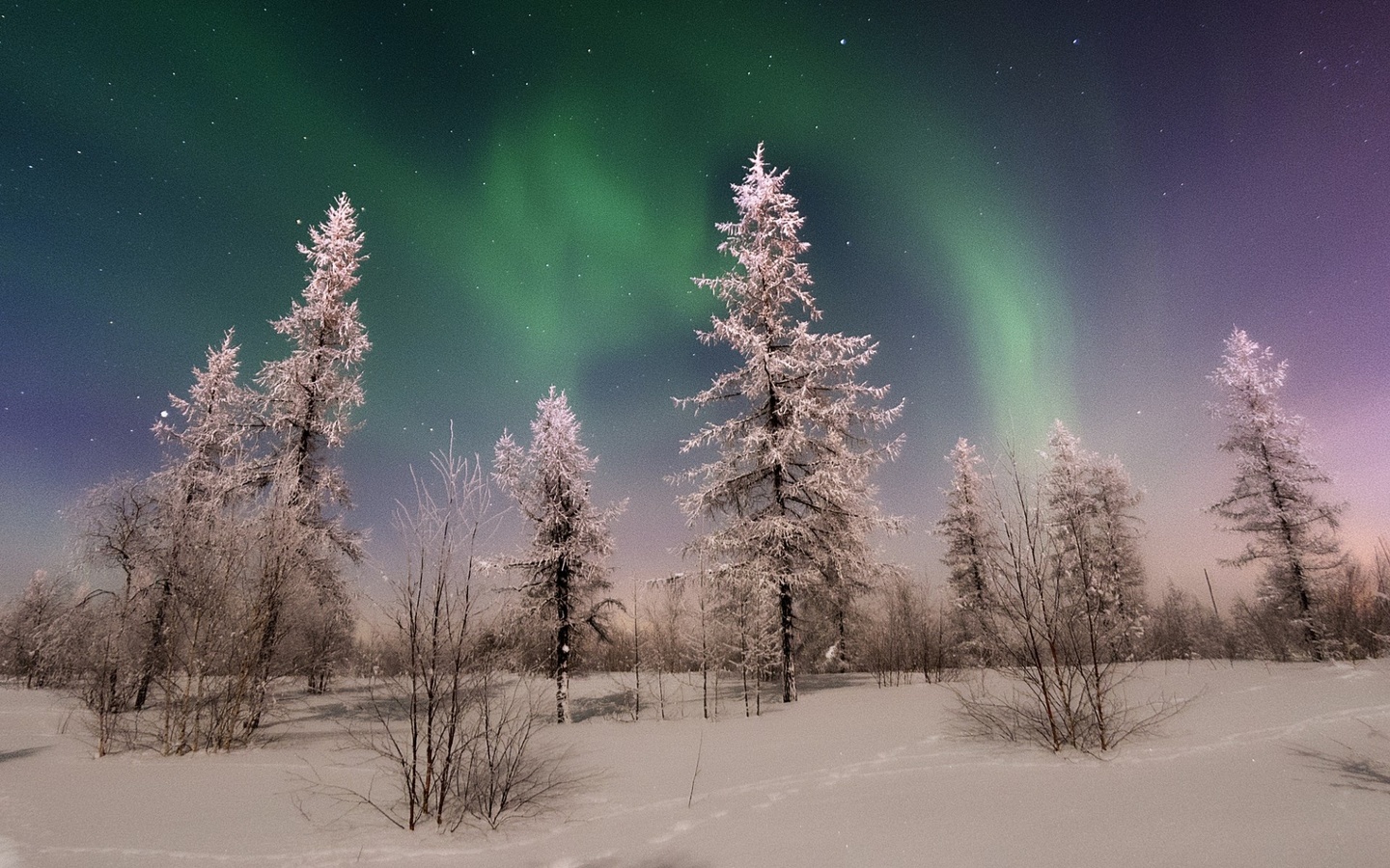 Картинки севера природа севера