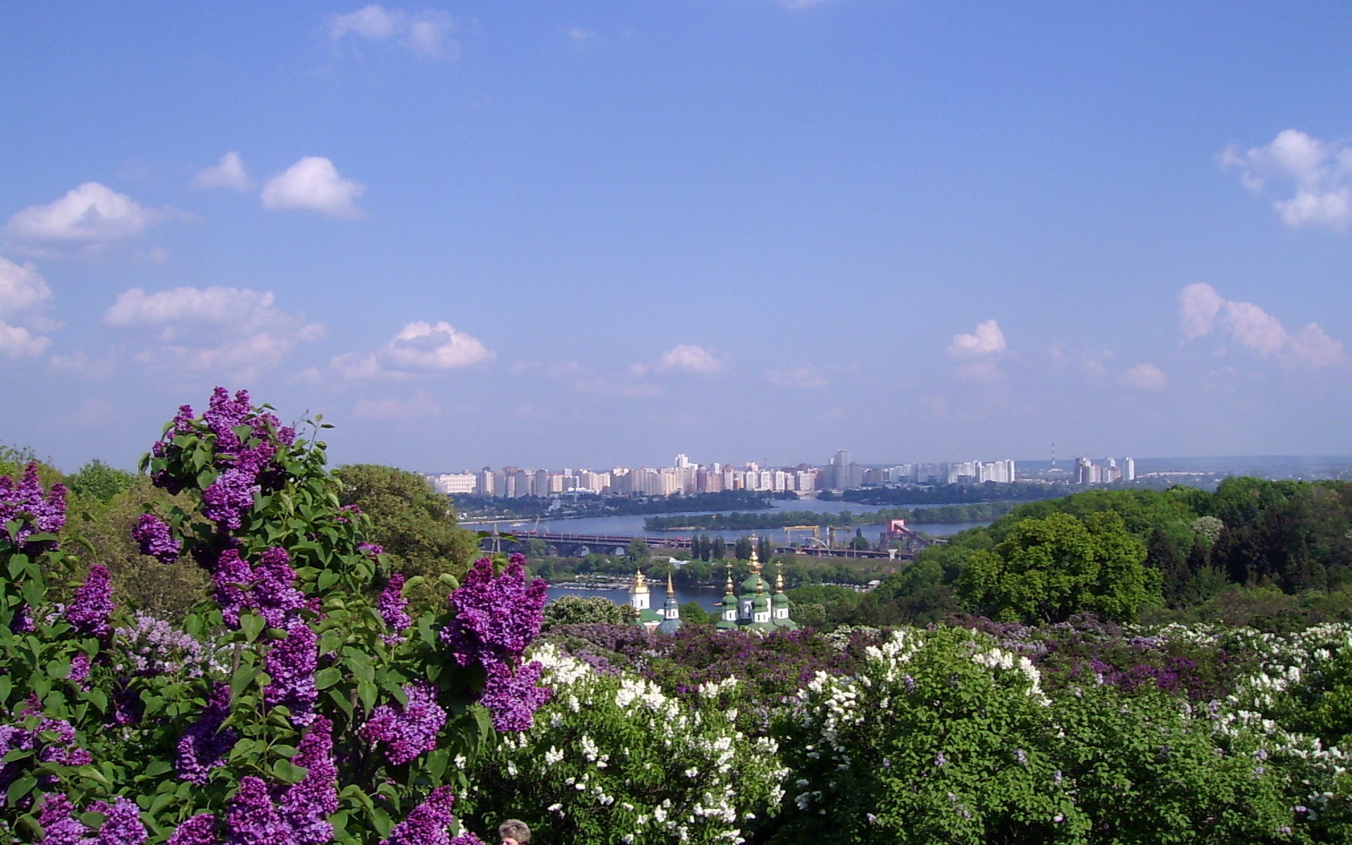 Май в городе картинки