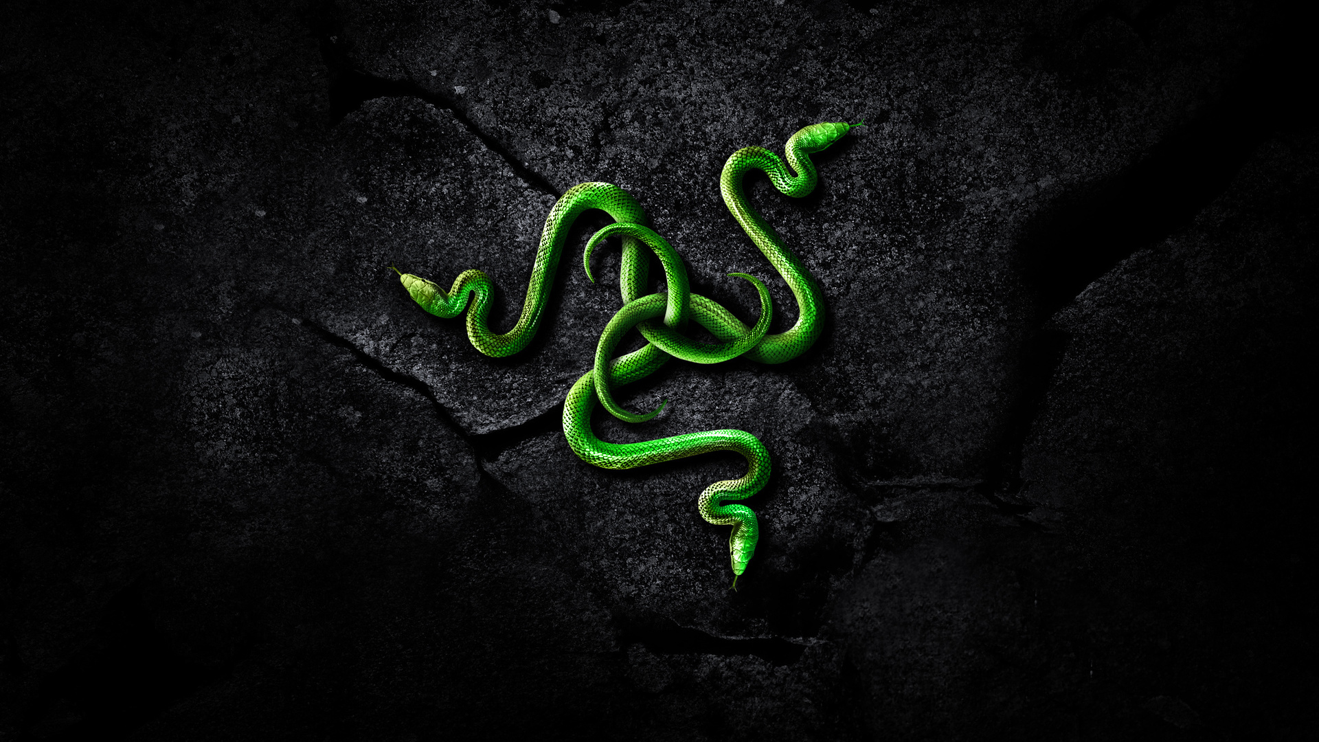 Razer обои живые обои