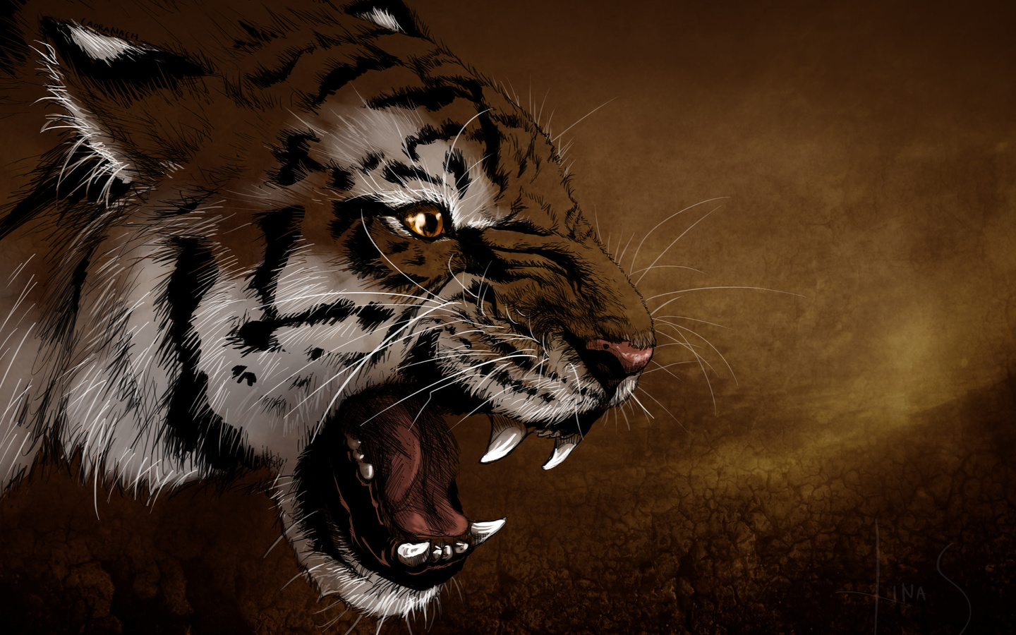Тигр оскал рисунок (47 фото)