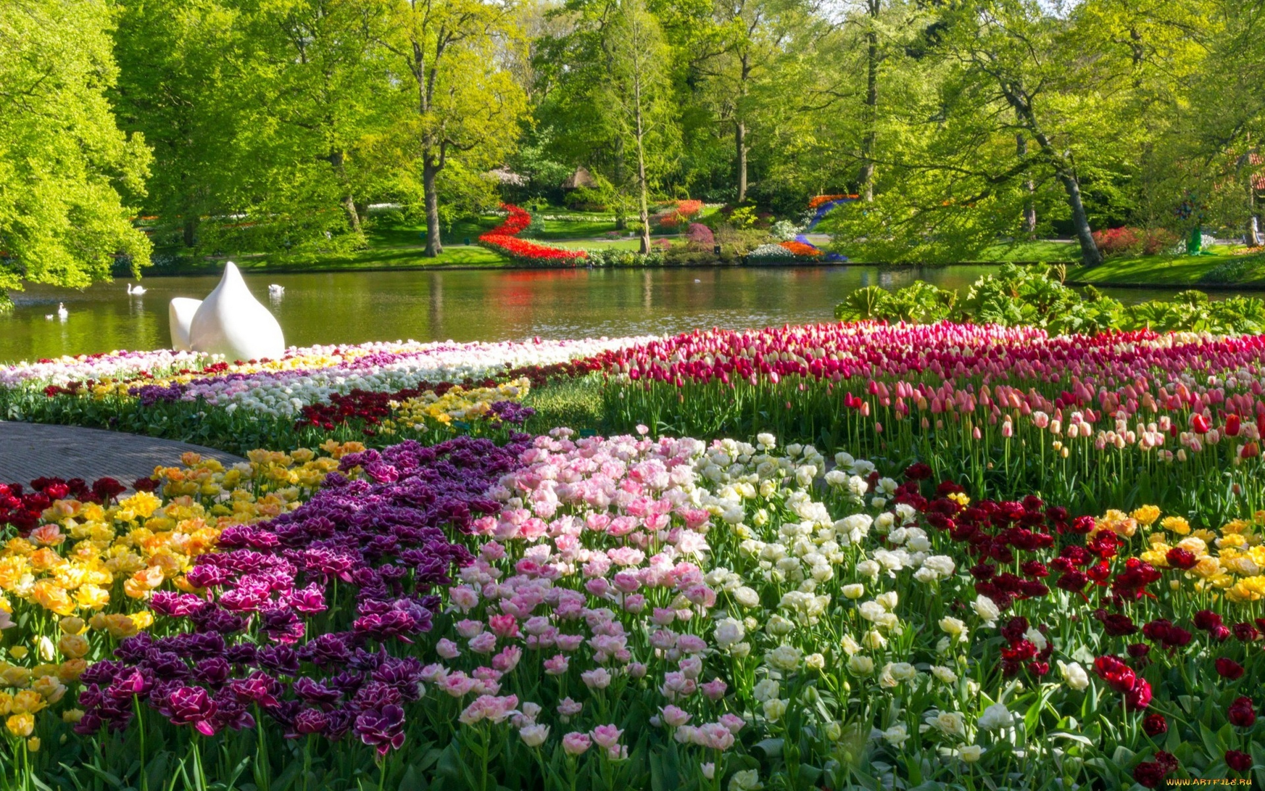 Цветочная страна во весь экран. Парк «Кекенхоф» (Keukenhof) летом. Парк цветов кёкенхоф (г. Лиссе). Королевский парк тюльпанов кёкенхоф пруд. Кёкенхоф Нидерланды водоем.