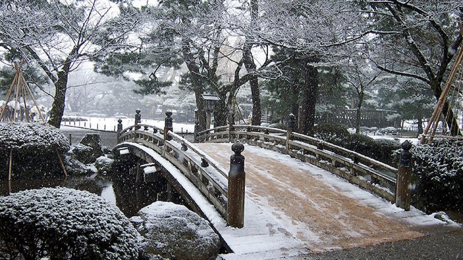 Японский сад зимой