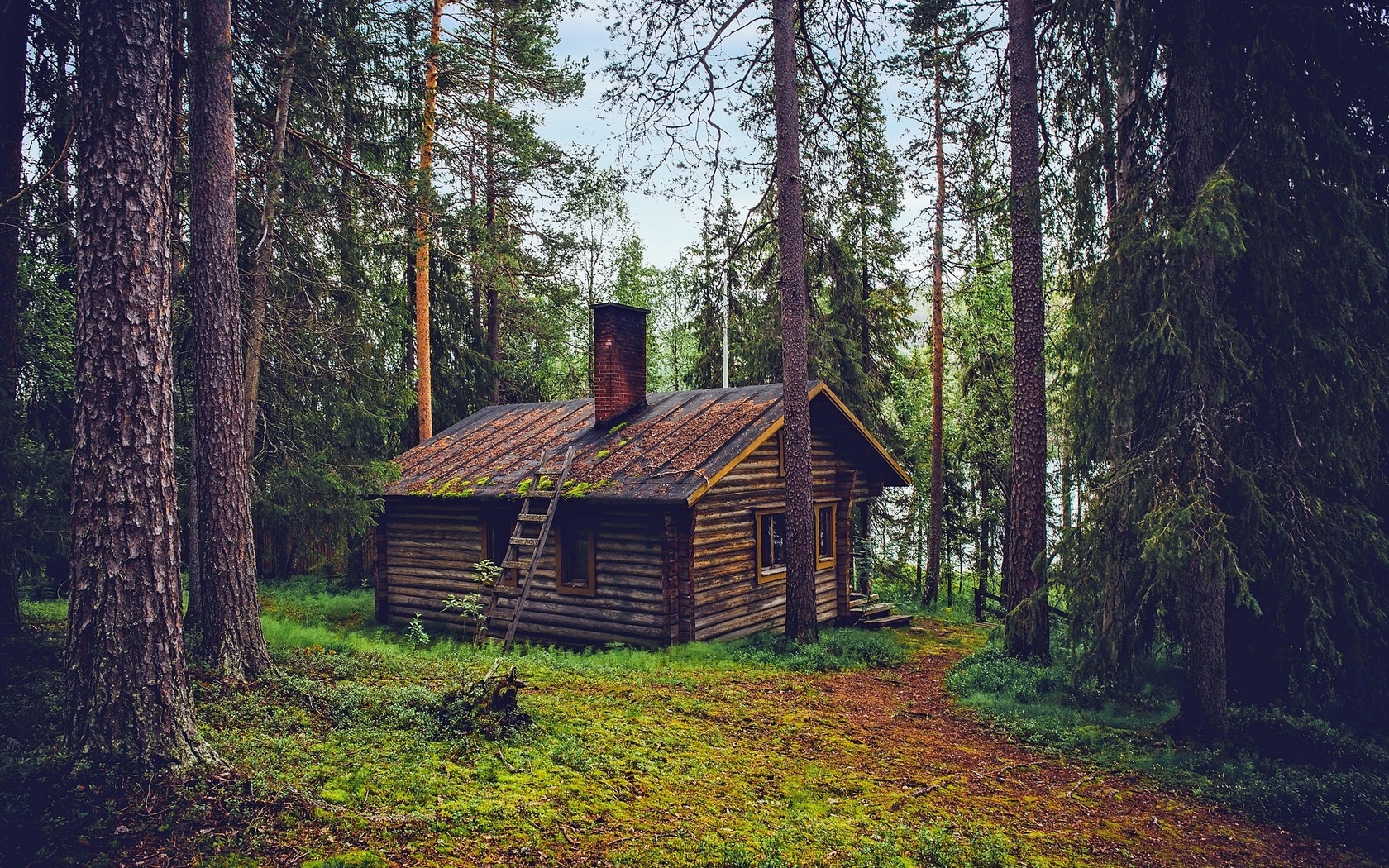 Избушка на опушке леса картинка