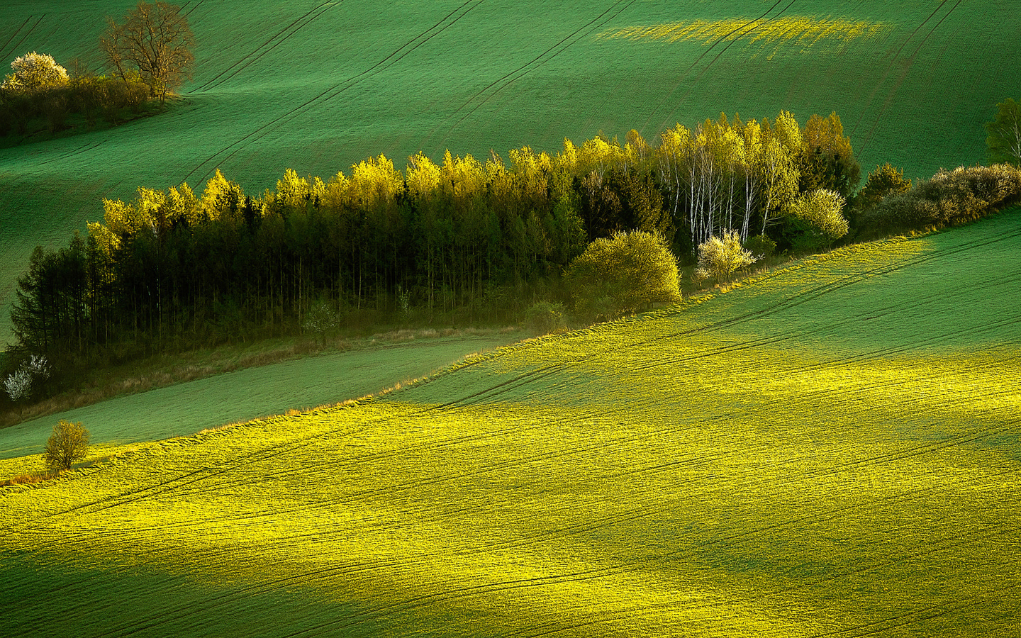 Пейзажи Чехии природа
