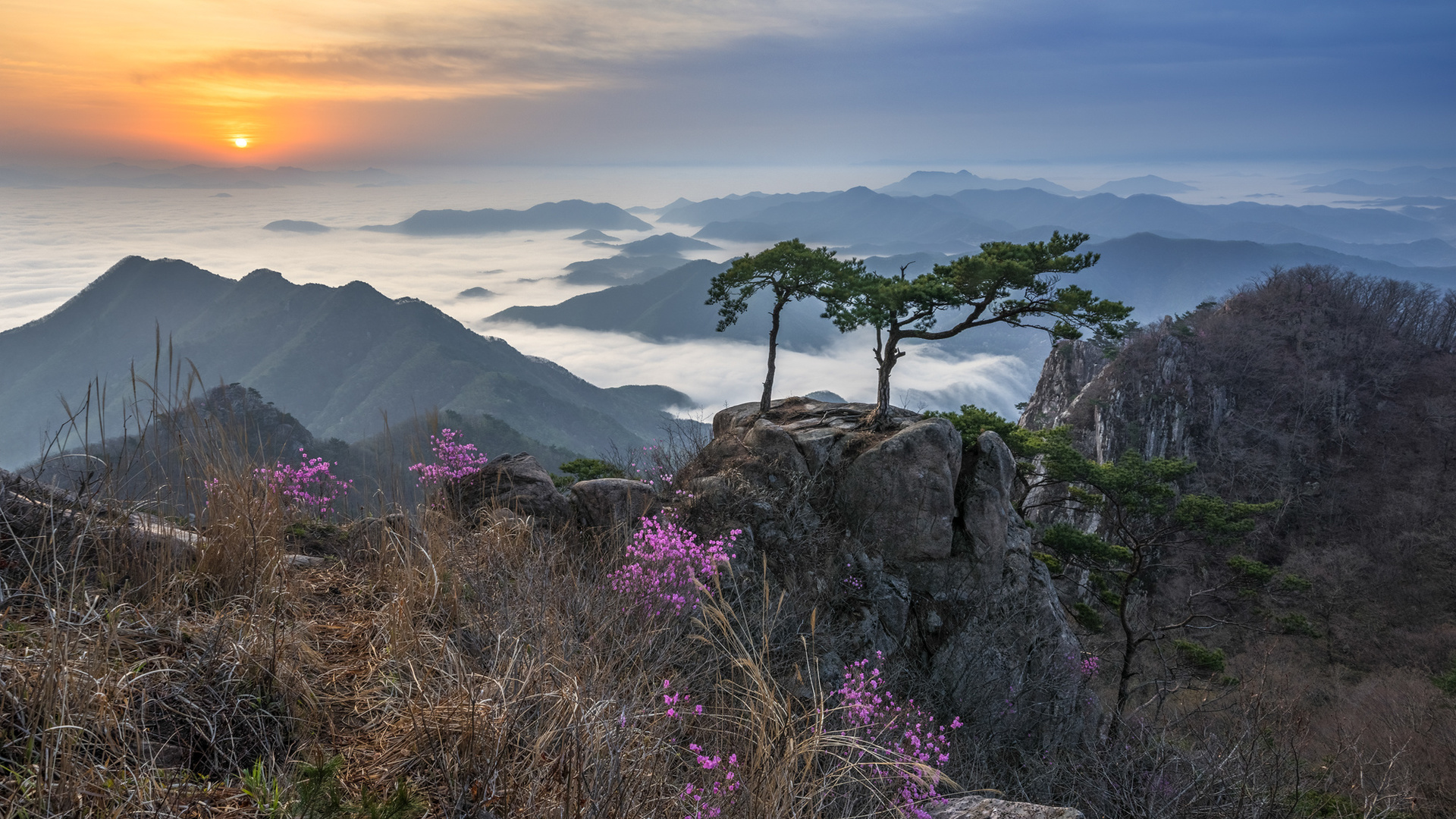 Южная Корея ландшафт горы