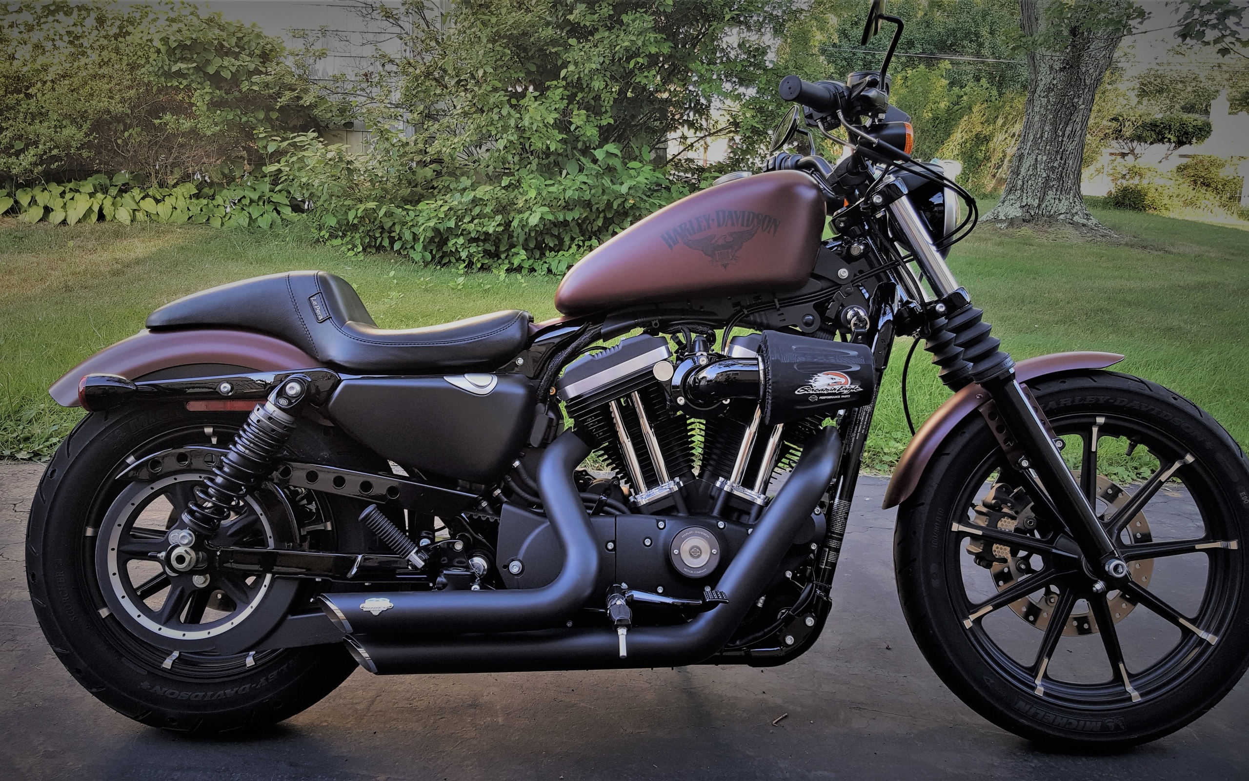 Харлей спортстер. Harley Davidson Sportster. Harley Sportster. Harley Davidson Sportster 883 Iron. HD Sportster 883 Custom.