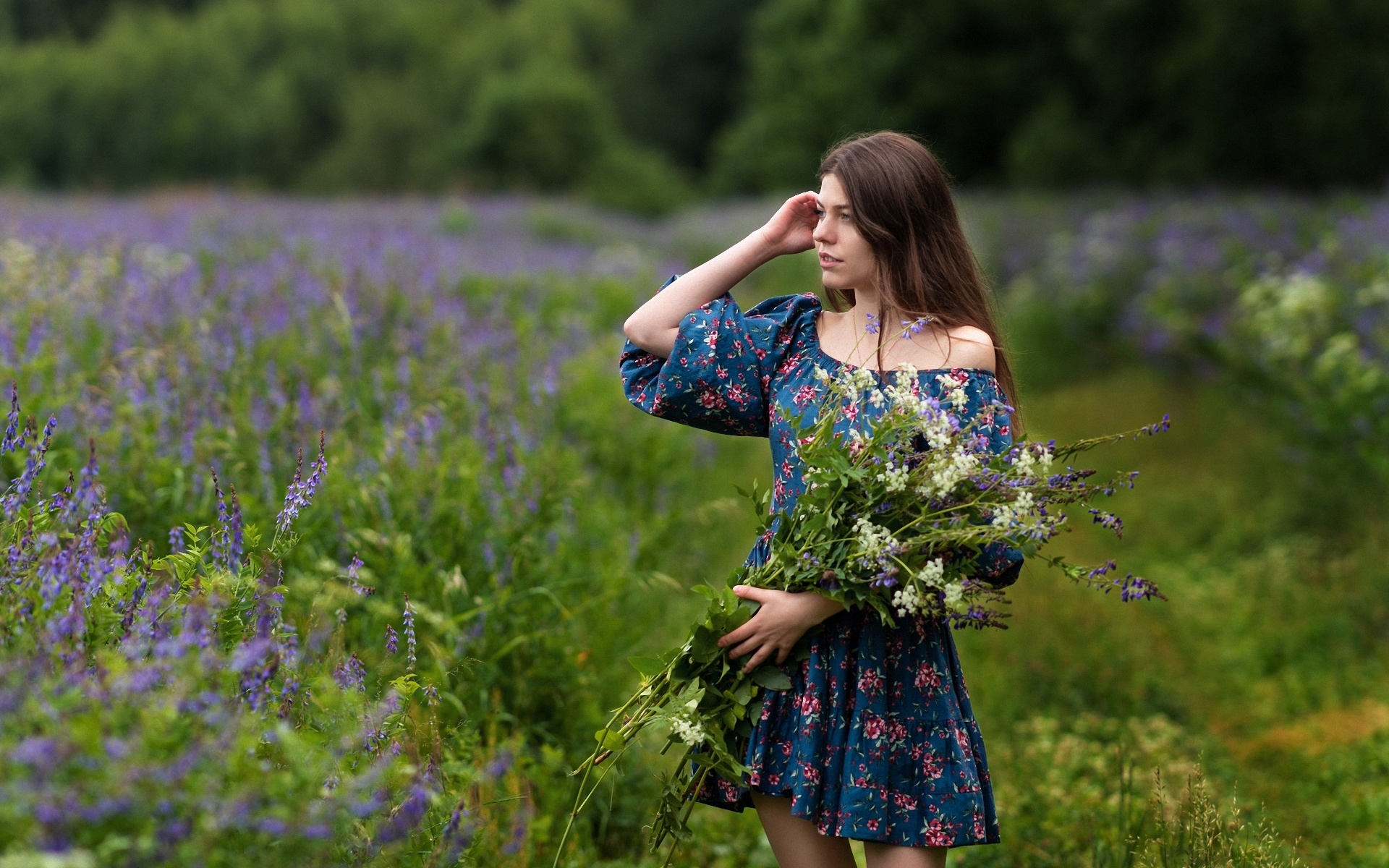 Цветы профессиональное фото. Анна Мощенко. Девушка в цветущем поле. Фотосессия в цветущем поле. Девушка в платье летом в поле.