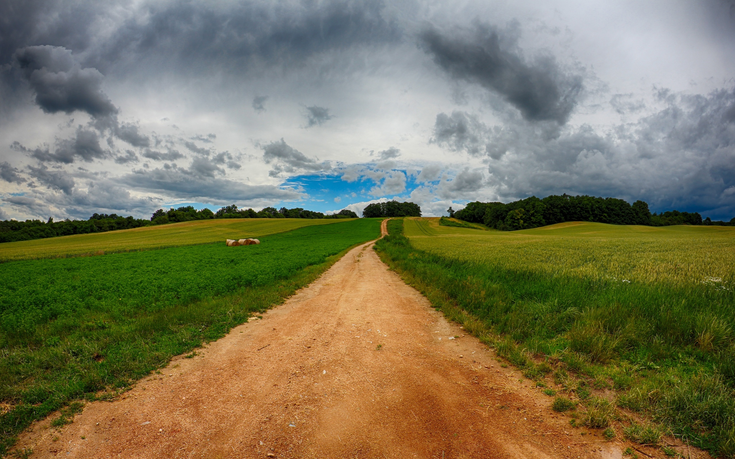 Дорога поли. Деревня природа Проселочная дорога. Сельская дорога. Деревенские дороги. Дорога в поле.