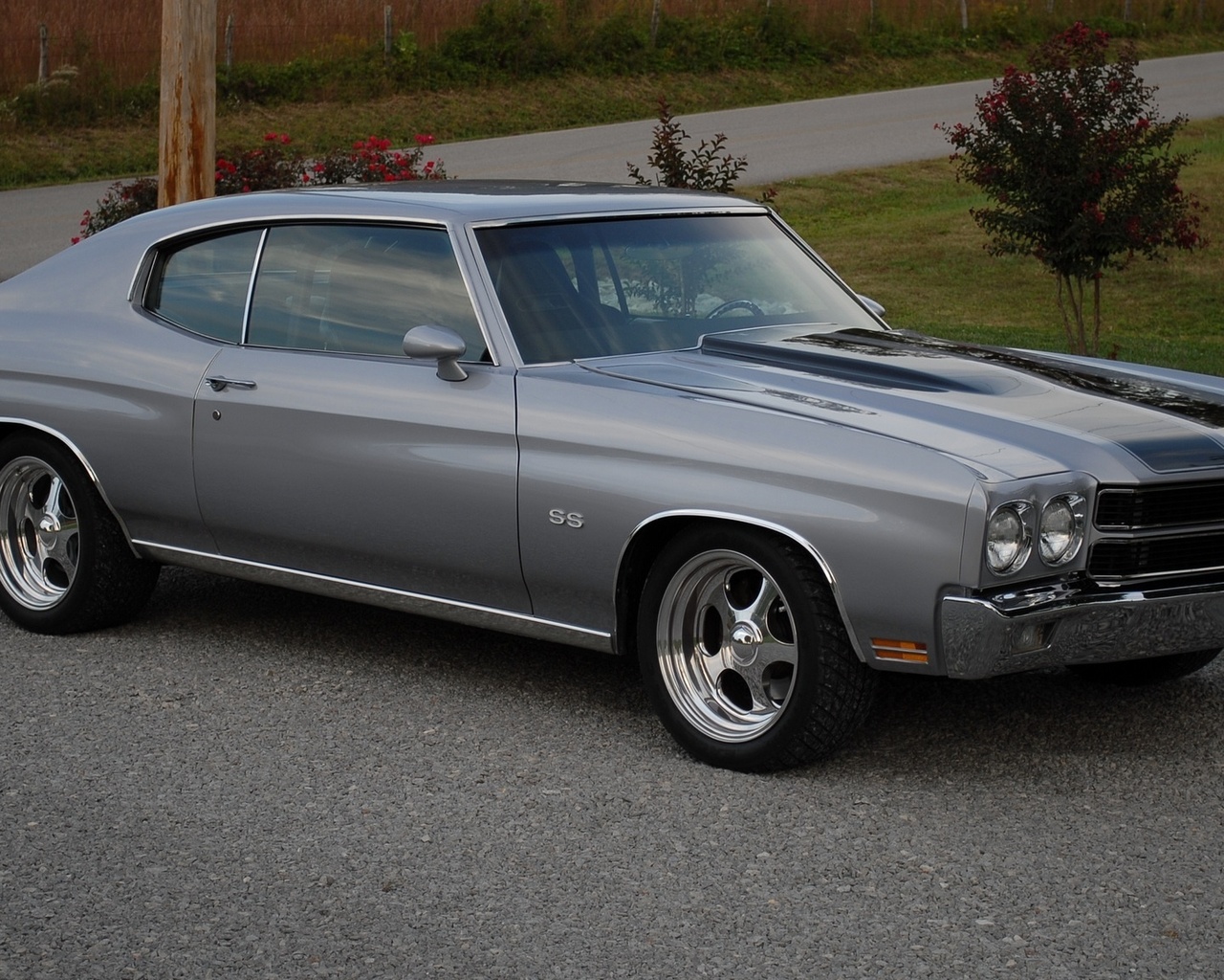 Chevrolet chevelle 1970