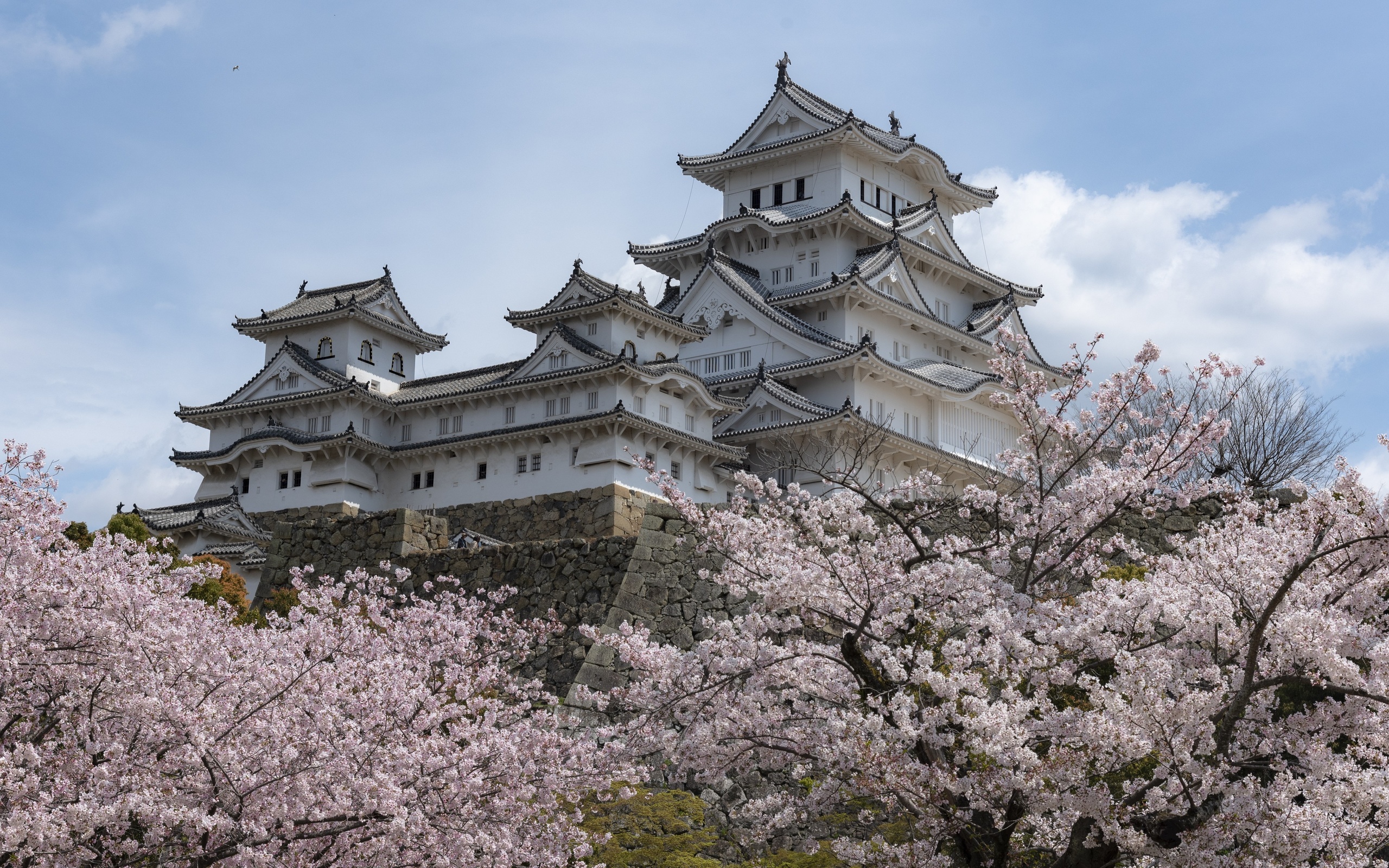 Japan pictures. Замок Химэдзи Япония. Япония: замок Химэдзи (замок белой Цапли). Химедзи (остров Хонсю). Замок белой Цапли Химедзи Япония внутри.