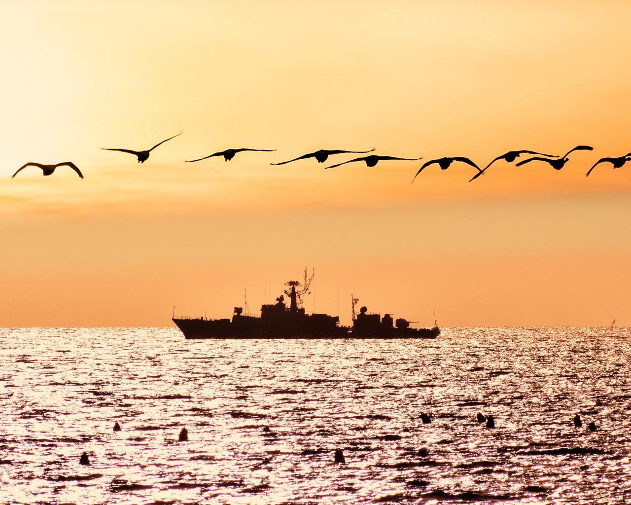 Над кораблем. Море, Чайки. Чайки, корабль и море. Море Чайки парусник. Чайки над кораблем.