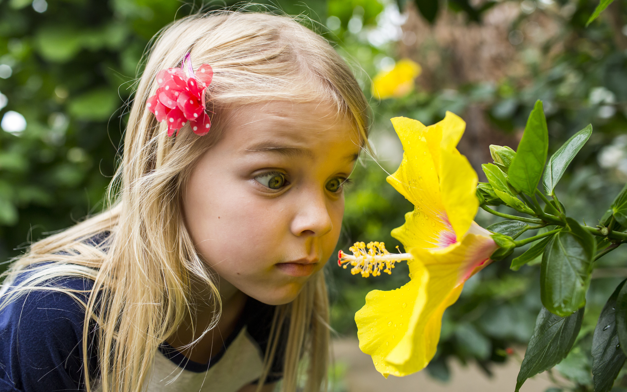 Young flower