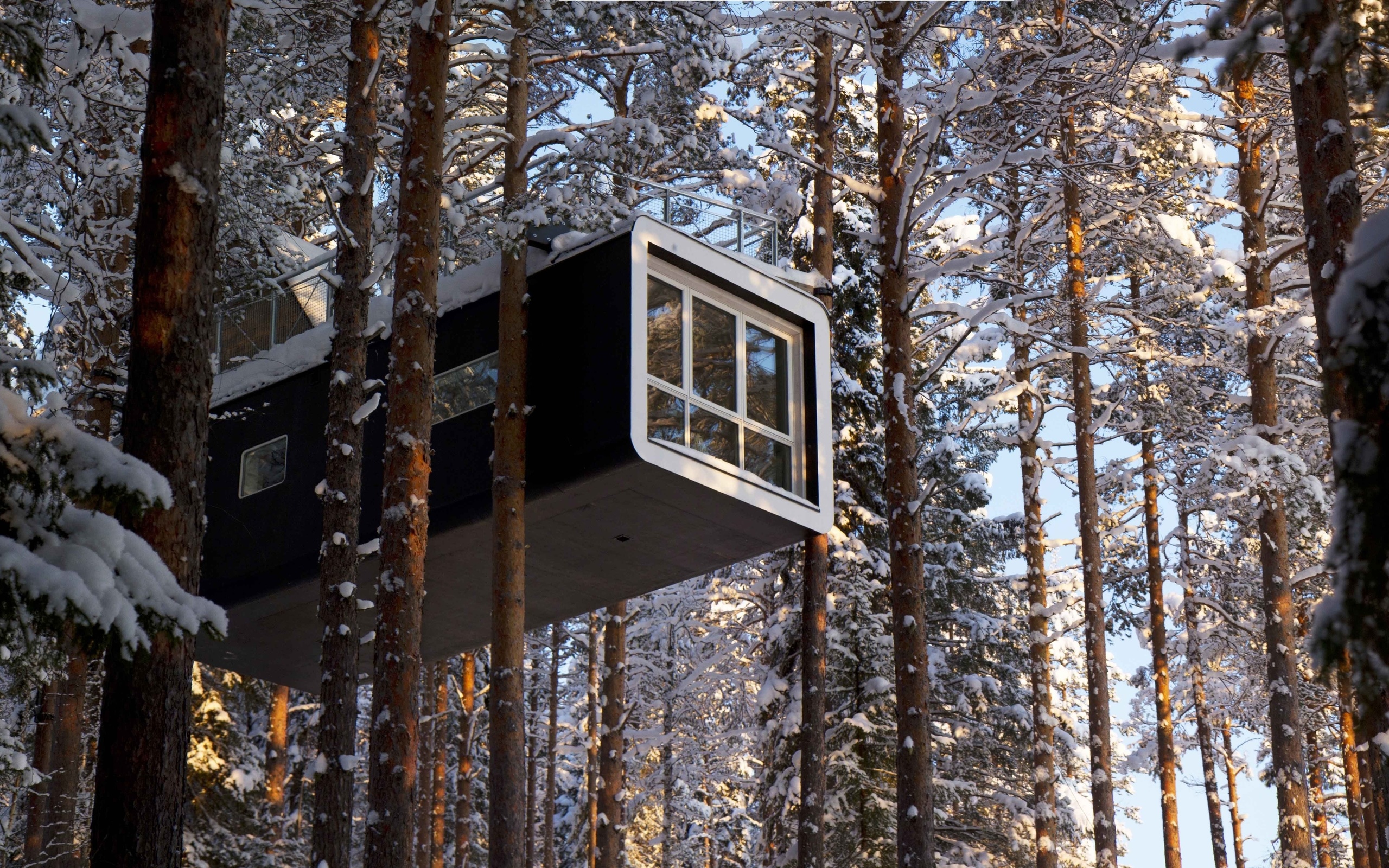 Дом на столбах. Treehotel Швеция. Treehotel Харадс. Tree Hotel Швеция Харадс. Шведский отель Treehotel.