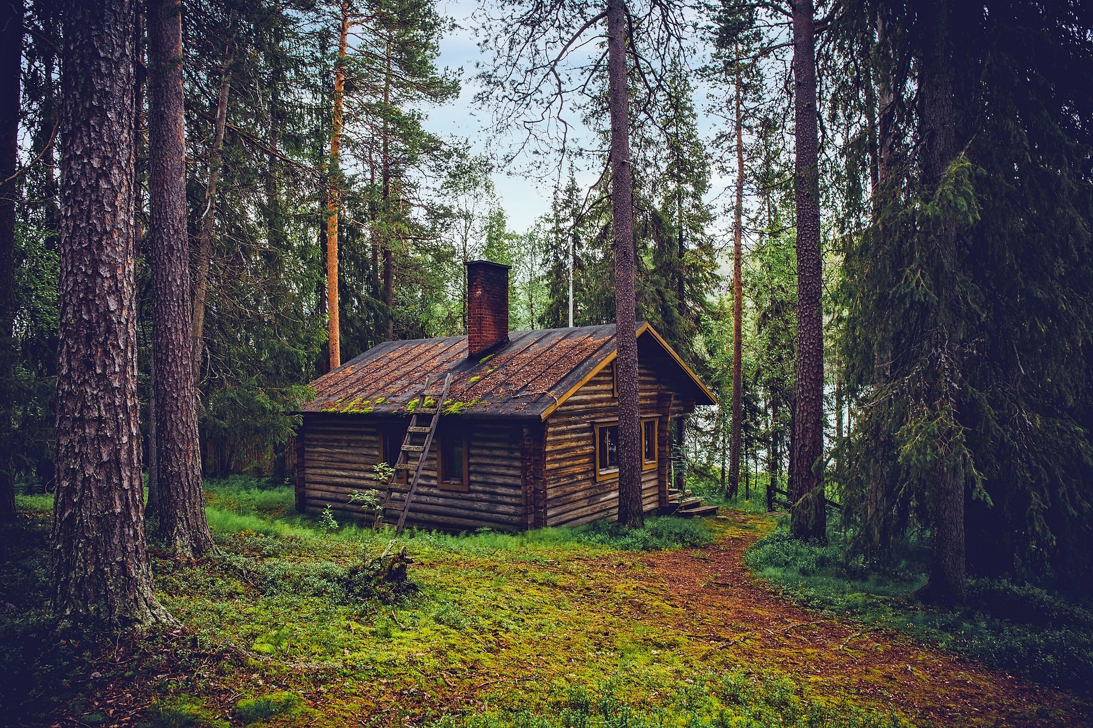 Избушка в лесу картинки