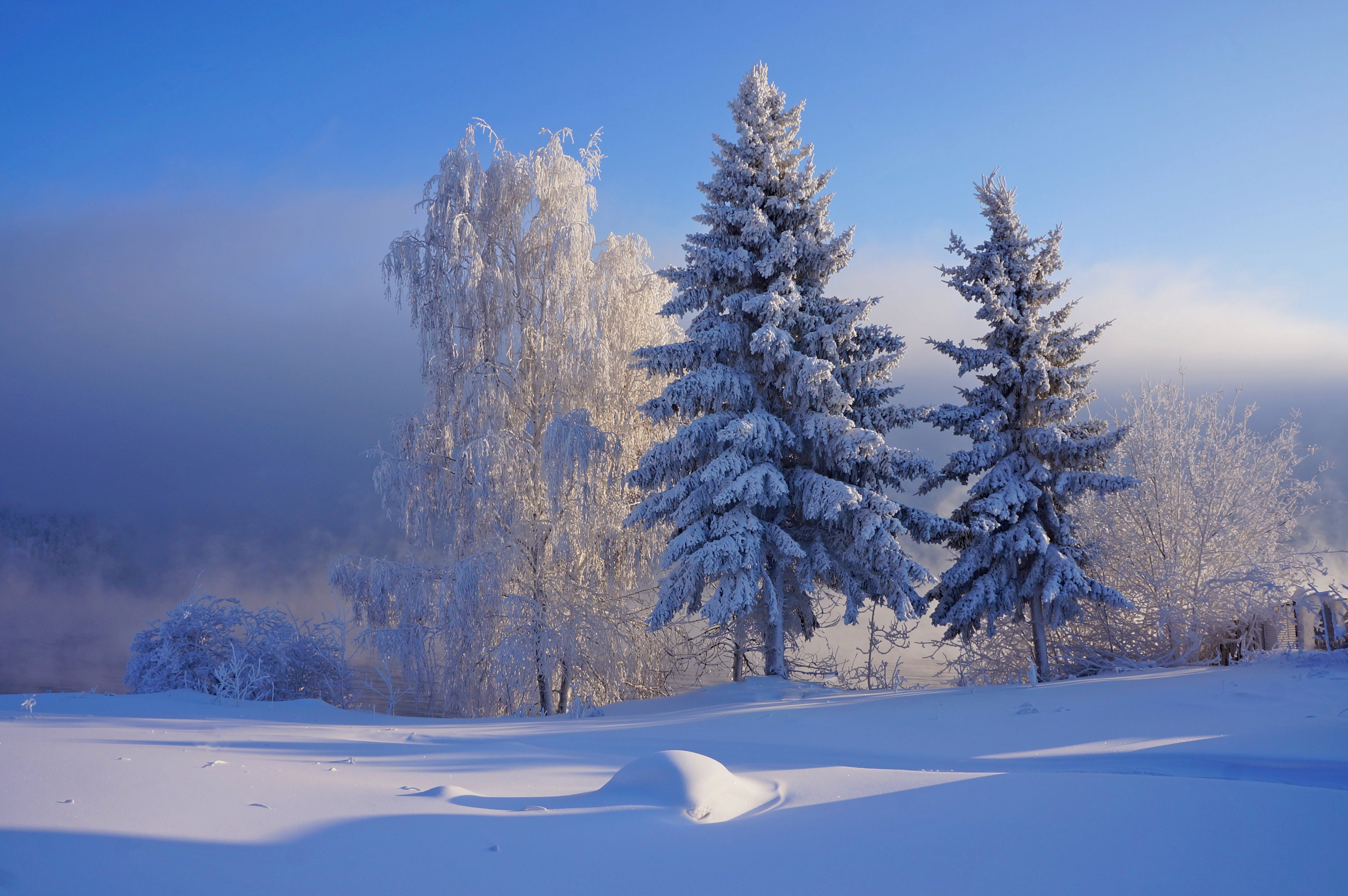 Январские сугробы. Зимняя природа. Зима пейзаж. Морозный день. Декабрь природа.