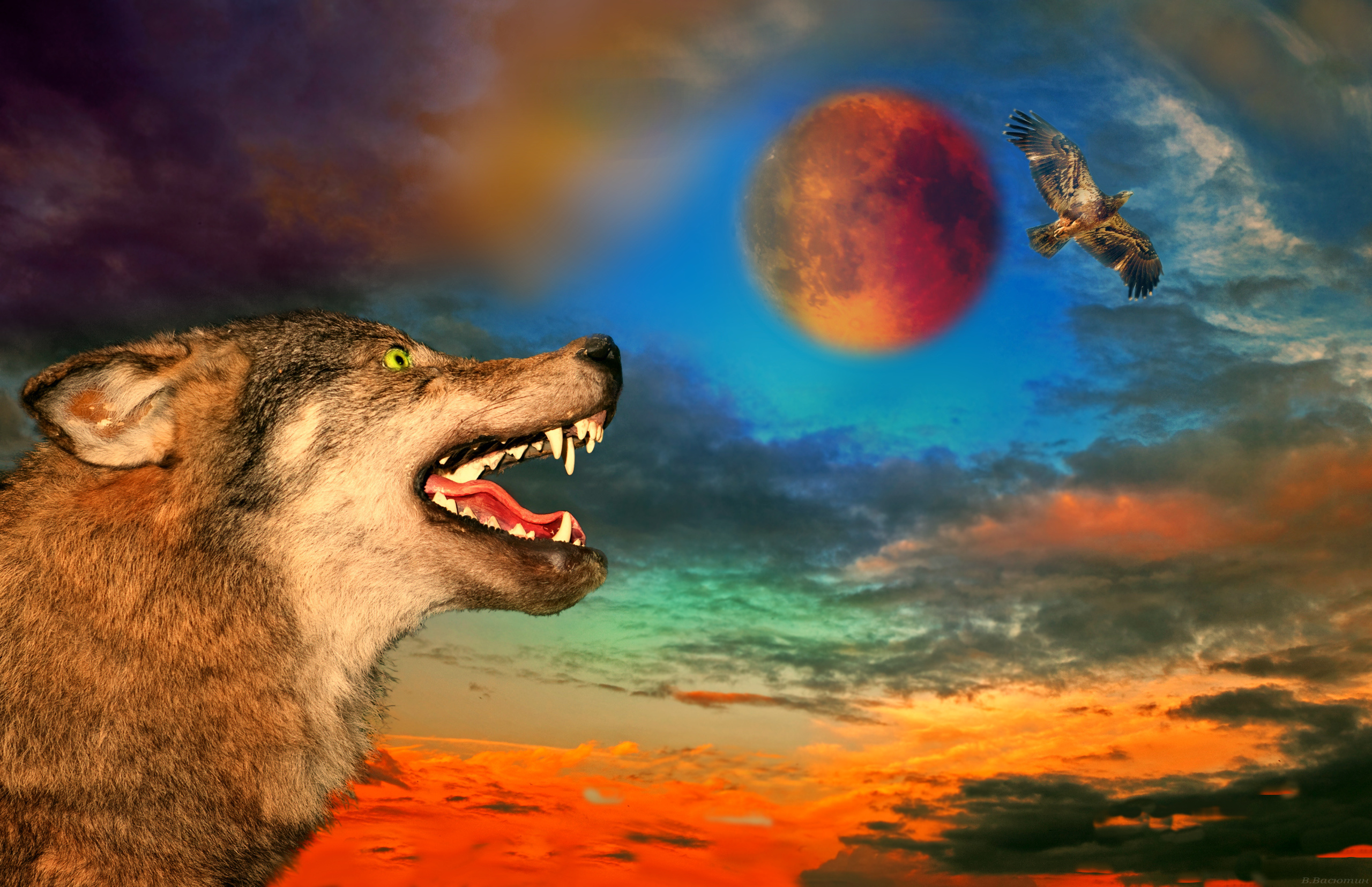 Злой волк на заставку