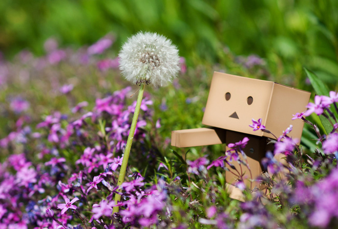 Danbo, , , , , , , 