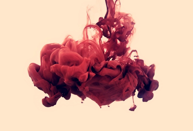 , , disastro ecologico, alberto seveso