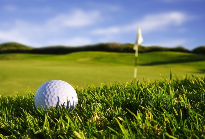 sport wallpapers, grass,   , , , macro, , golf, , , , , , 