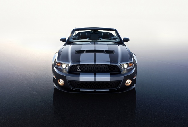 Ford, gt 500, 2010, shelby