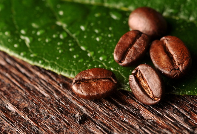 , , , leaf, beans, , coffee, macro