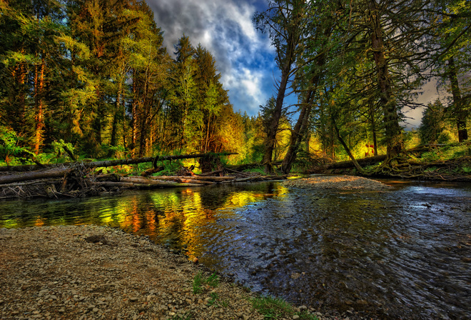 river, nice, cool, , Nature, landscape, forest, autumn, beautiful, 