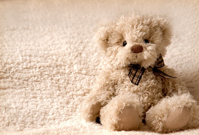 , teddy bear, , 