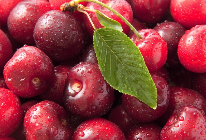 macro, Sweet cherry, , , , ciliege, , 