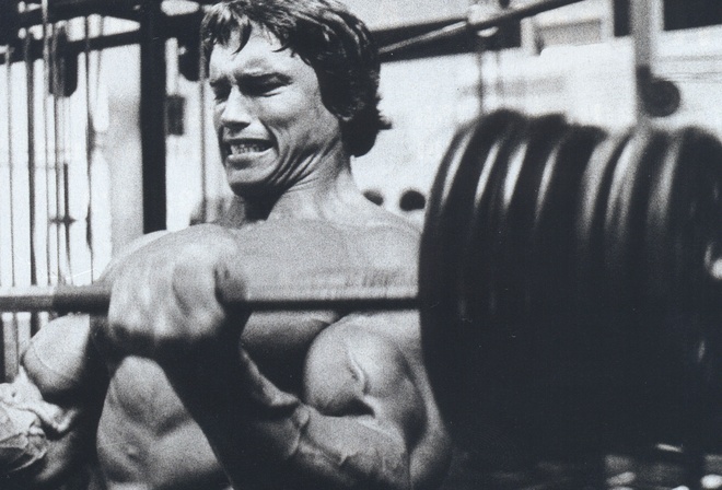  , arnold schwarzenegger