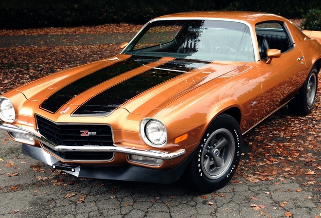 1971, camaro, , z28, chevrolet, , 