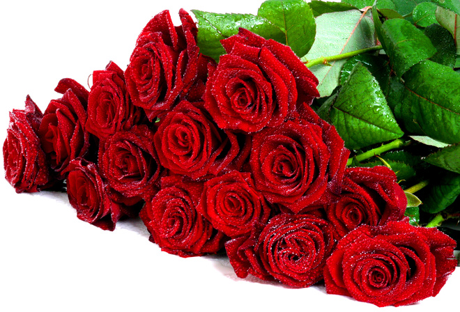cool, Flower, bouquet, wet, roses, drops, rose, nice, flowers, beautiful, pretty, lovely, red roses