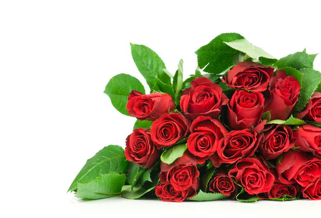 beautiful, roses, bouquet, rose, Flower, nice, flowers, cool, red roses, beauty, pretty, lovely