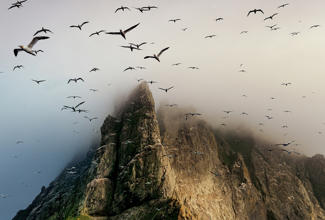 scotland, , , Boreray island, , st. kilda archipelago