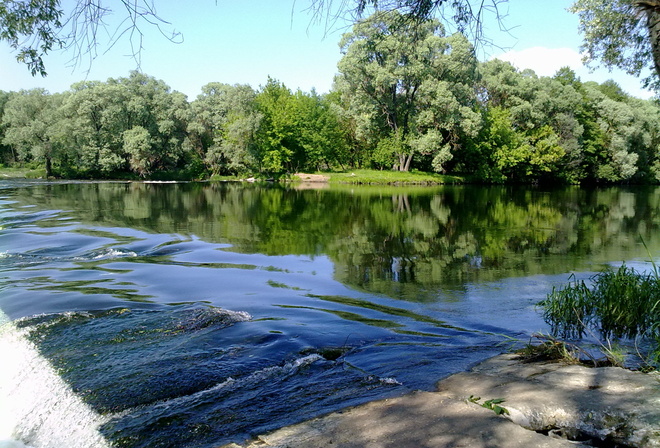 Река деревья картинки