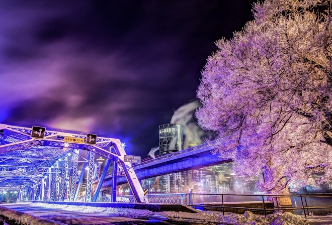 , langevin bridge, calgary