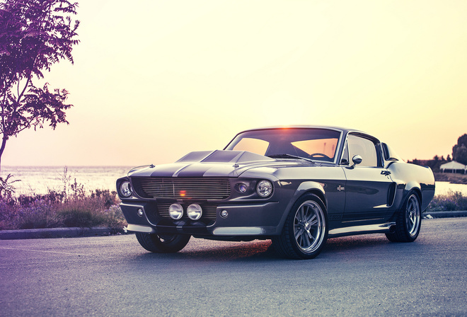 mustang, gt500e, giannes kokkas photography, shelby, eleanor, ford