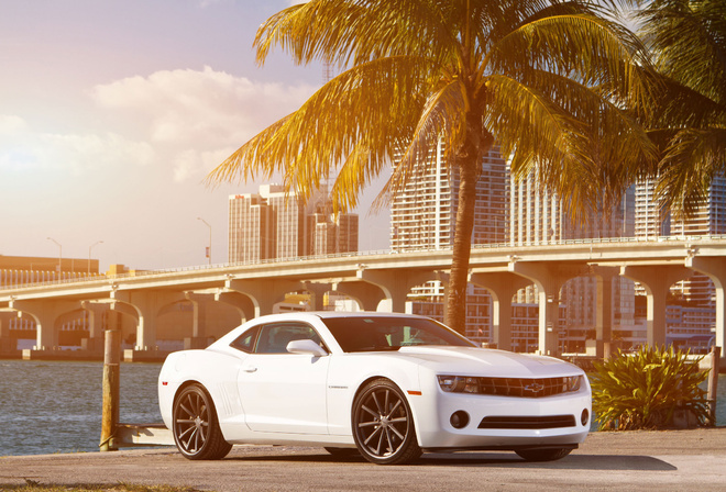 Chevrolet, , white, ,  , camaro, 