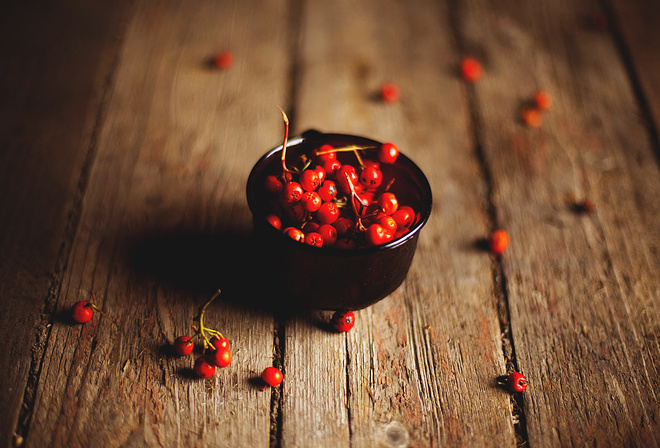 , rowanberry, , 