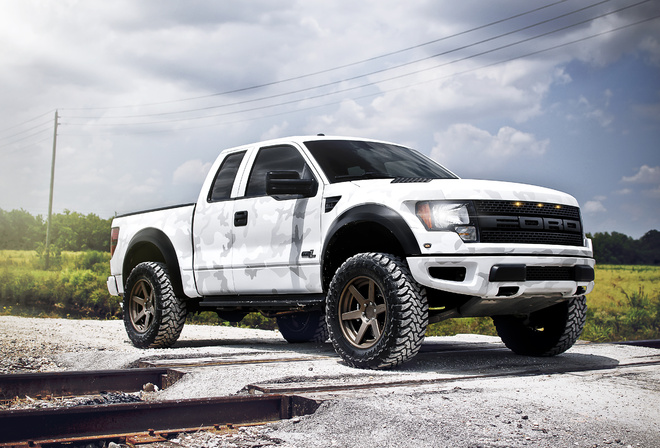 , , svt, white, raptor, Ford, , f-150